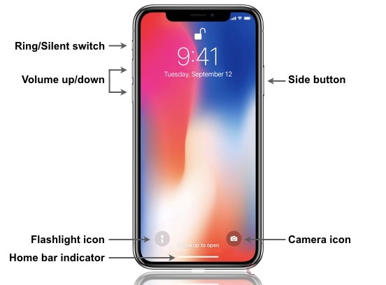 Image of an iPhone with labeled features: Ring/Silent switch, Volume up/down, Side button, Flashlight icon, Camera icon, Home bar indicator. Despite the time and date being displayed, the device seems frozen and fails to unlock.